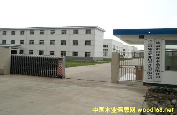 �B�Ƹ���ɭľ�I(y��)̓���������Y��3000�f ���˺͸����p�p��z