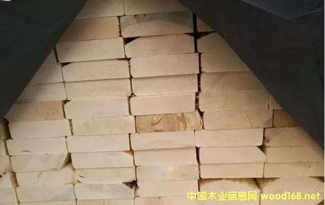 �q�r(ji��)���ɱ� ��؛��M�磺5��ľ���Ј�(ch��ng)չ��