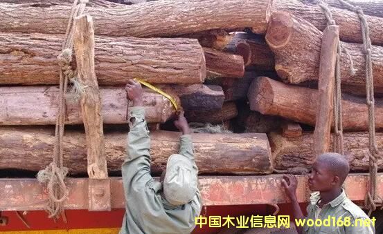 Īɣ�ȿ�ľ�Č�ȫ�����,�tľ�Ј��@9�Nľ��ֱ������!