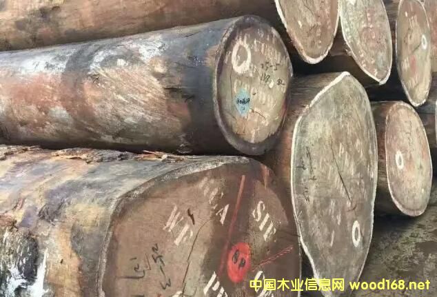 ɳ����ľ���Ј������{(di��o)�飺�̼ҟo�������� �Ј��r��߀���^�m(x��)�µ�