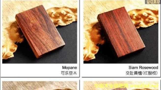 �����ڰ��M(j��n)��ԭľ���F(xi��n)���l(f��)�����L �������Fԭľ