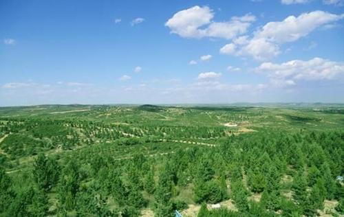 �������֘I(y��)��2020���������M������c����