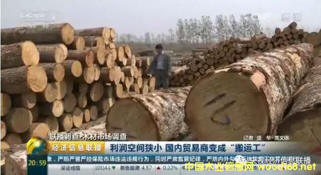 ��ҕľ���Ј�(ch��ng)�{(di��o)�飺�M(j��n)��ľ�Ĵ������ ľ���Q(m��o)��������(r��n)խ׃�ɡ���