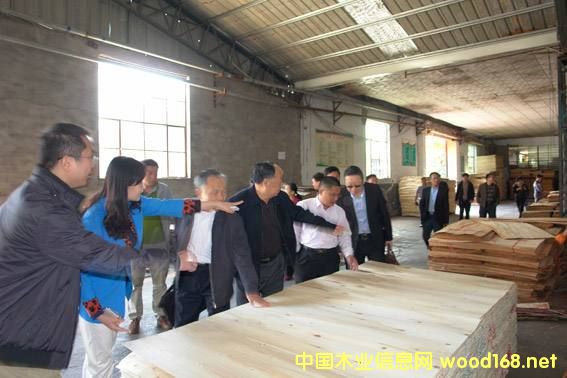 �R�����mɽ�^(q��)�����Ї�10��ľ�I(y��)�a(ch��n)�I(y��)��Ⱥ