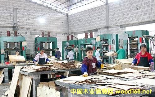 �R�ʰ����I(y��)�������Ƶĕr(sh��)�����V���F���ǂ�(g��)���x��