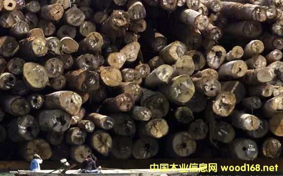 ���޼tľ����Խ��(l��i)Խ�y��δ��(l��i)�Ј�(ch��ng)�Ͽ��ütľ߀ʣ������