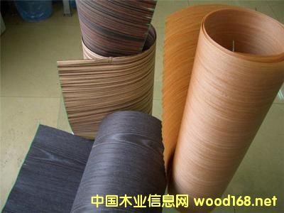 ȫ��Ƽ�ľ�Ј����L���^��2022�ꌢ�_413�|��Ԫ