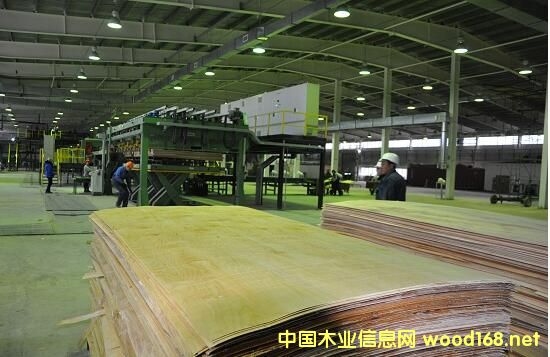 ľ�I(y��)��I(y��)�߳�ȥѲҕ֮---���Y��I(y��)�ڶ��_˹��ľ�ļӹ�Ͷ�Y�Ŀ