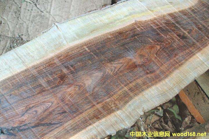 Ƥ�Ұ���Ј�(ch��ng)���𱬡� ���̼�������F���������