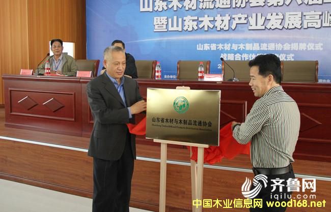 ɽ�|ľ�Įa�I(y��)�l(f��)չ�߷�Փ���e�� ��I(y��)����̽ӑ�l(f��)չ֮·