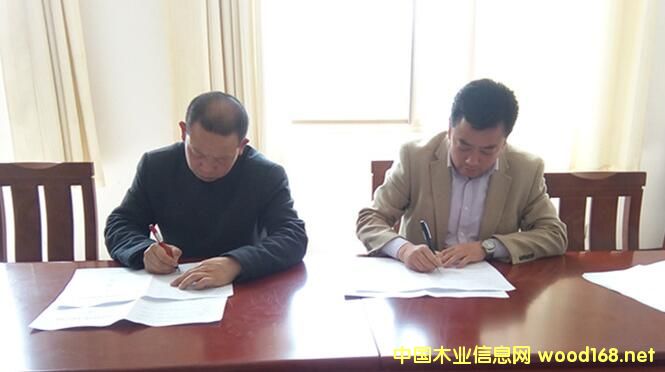 ɽ�|����ľ�I(y��)�����mɽ��ʢľ�I(y��)�����ƽ�ؿh�߶�ľ�I(y��)�a(ch��n)�I(y��)�@