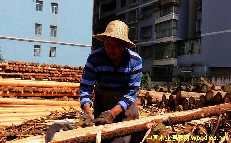 ��Ϫ�(zh��n)��|ľ���ѳɞ���|�؅^(q��)���ľ�Ľ��I�Ј�