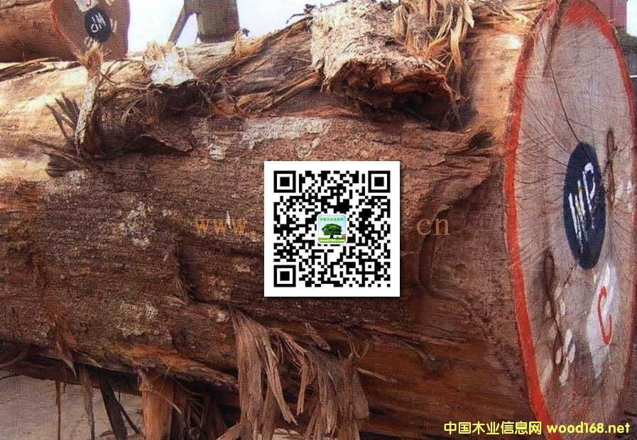 ľ�İٿƣ��S�O(p��ng)�ţ����ȸľ���S�u�����ٽzľ��