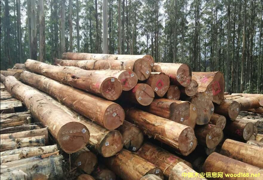 ̫�}�۰���M(j��n)����څ��(w��n) �M(j��n)�ڰĴ�����ԭľ�q���_(d��)��������λ