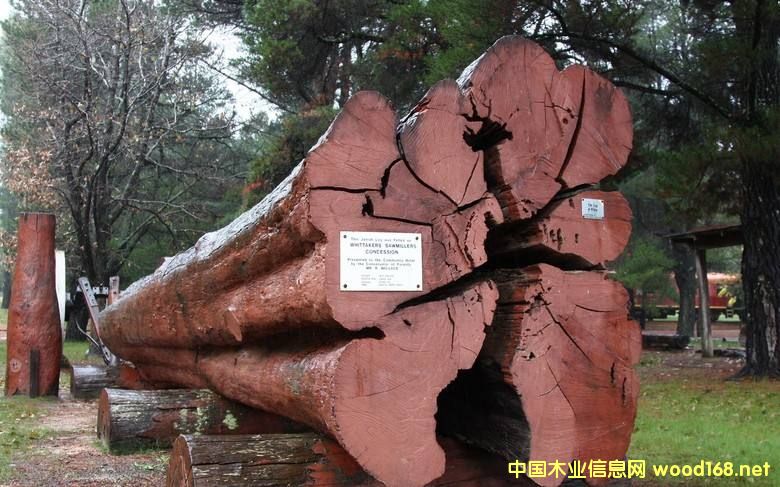 ľ�İٿƣ��Z��ľ���������׷Q����Ѫ̴