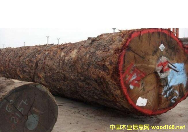 ���µڂ����ߟ��Ј�(ch��ng) �r(ji��)������������̼ҡ��哌��