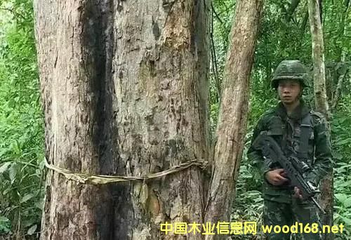 �����@80���F��˽��ľ��,�����ټӴ�����˽������