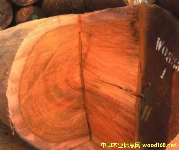 ����A�P(p��n)���r(ji��)���µ�