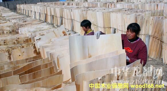 헳������(zh��n)��(y��u)�|(zh��)��Ƥ���N���K��ɽ�|�����յ�ʡ