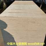 ���u��ďS(ch��ng)�Ұ��b�z�ϰ���b��S(ch��ng)��