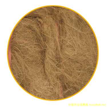 Ҭ�z��Ԕ��(x��)��B