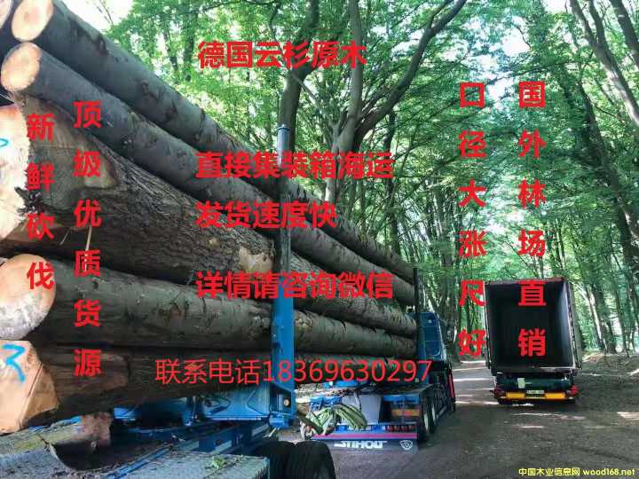 [��] ����ɼ