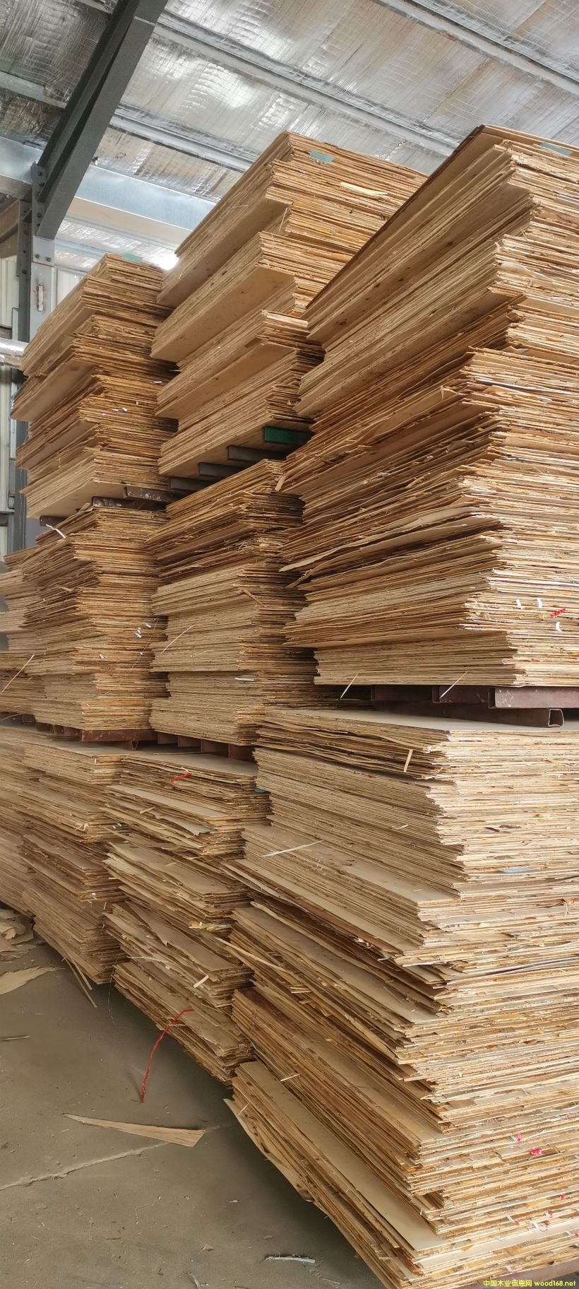 ����15�����