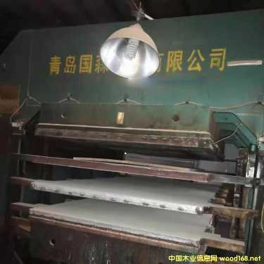 ��(gu��)ɭ��˰�����ذ�ቺ�C(j��)����