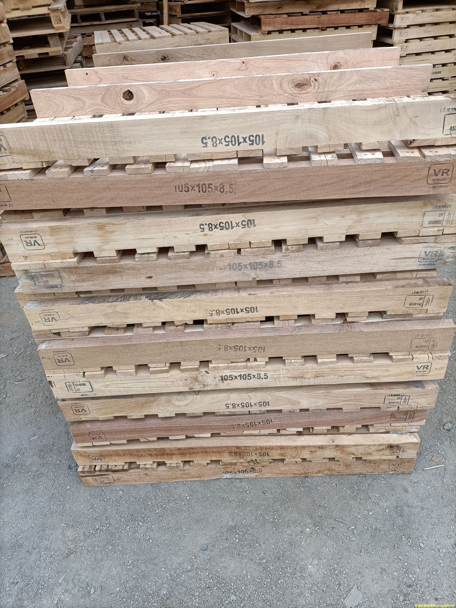 �����M(j��n)���бP