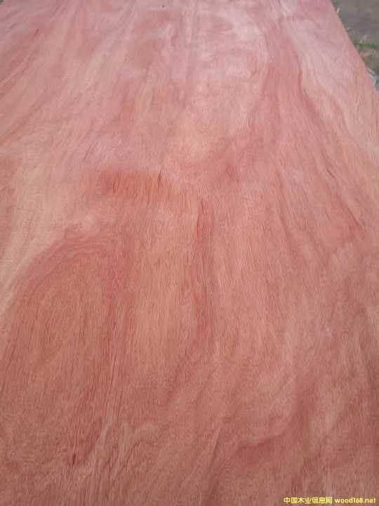  ��Ԕ��(x��)��B