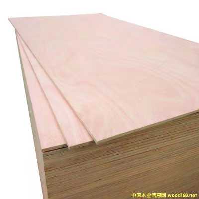 的詳細(xì)介紹