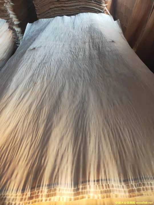 的詳細(xì)介紹