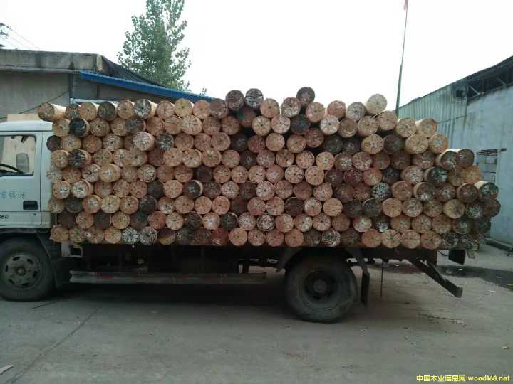  ��Ԕ��(x��)��B