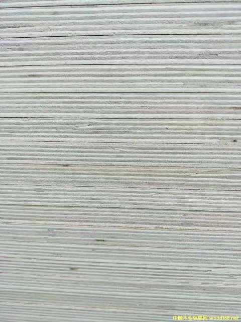  ��Ԕ��(x��)��B