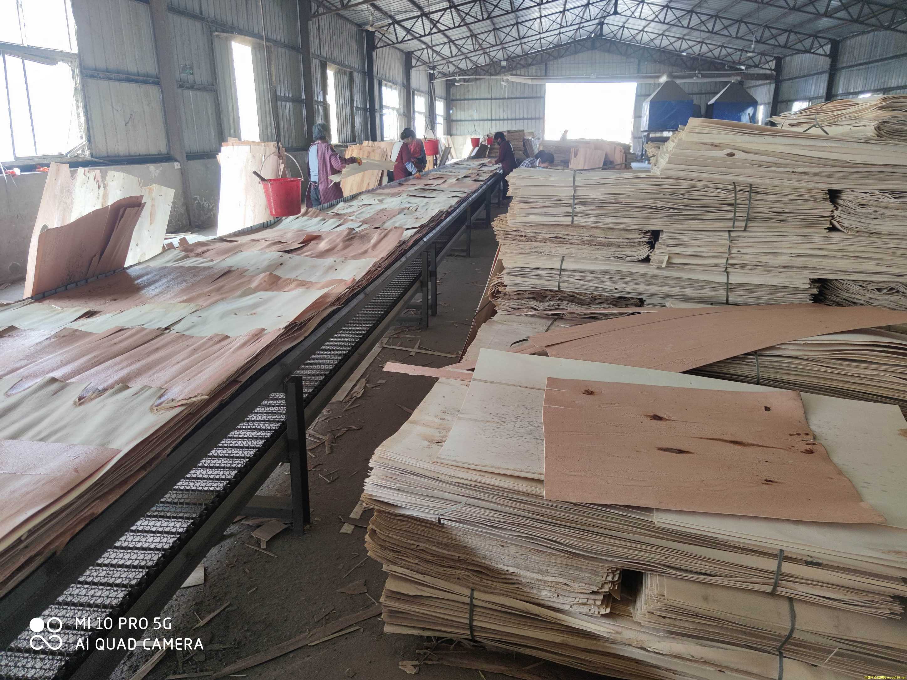 的詳細(xì)介紹