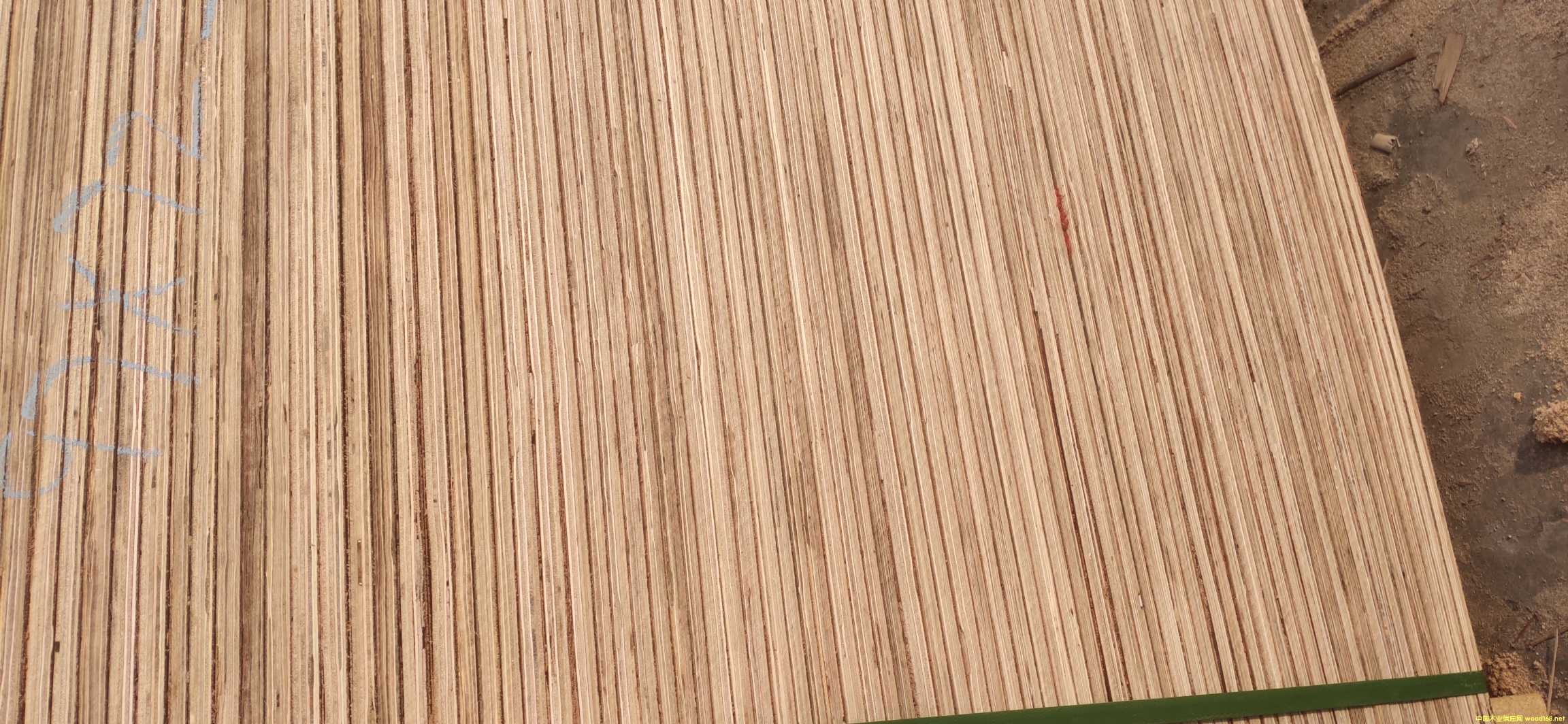  ���İ��Ԕ����B