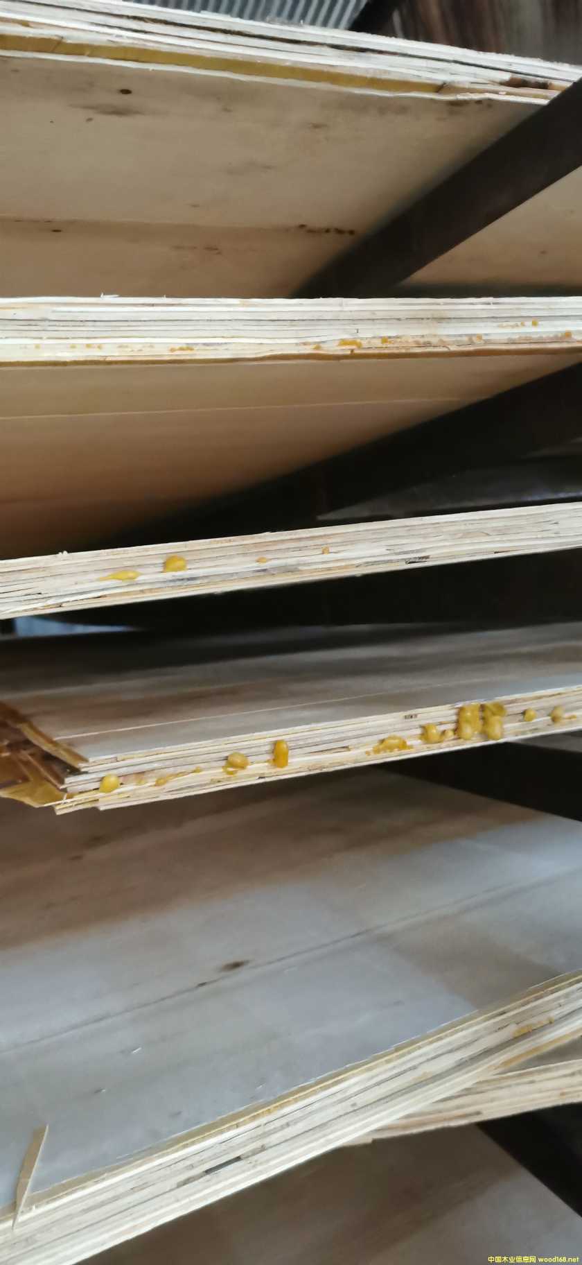  ��Ԕ����B