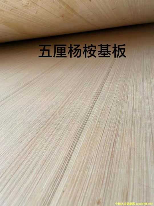 的詳細(xì)介紹