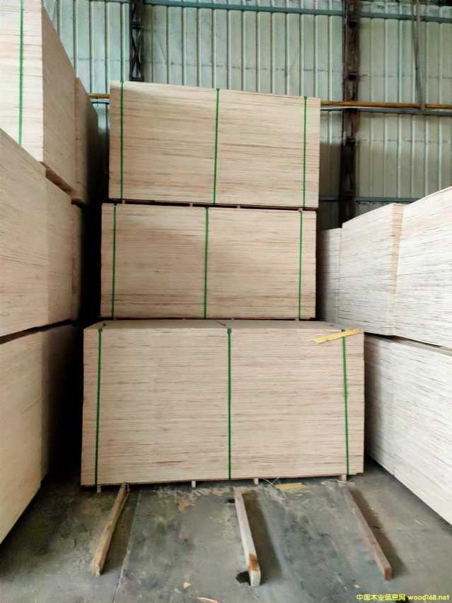 的詳細(xì)介紹