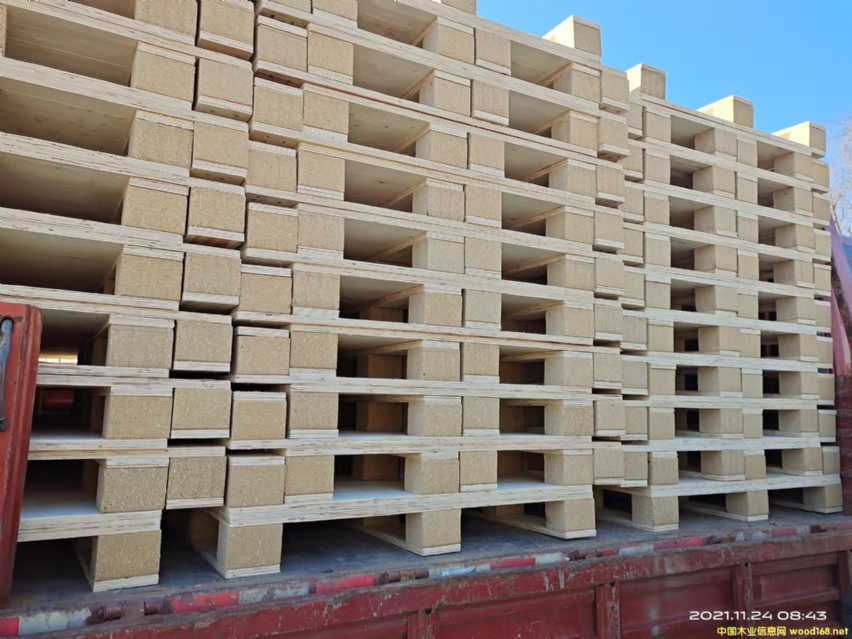 ��Ѭ��ľ�бP