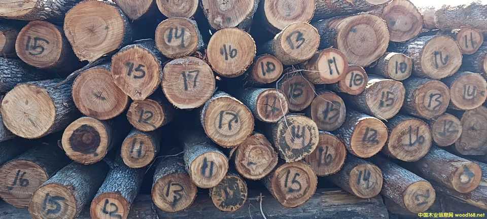  ����(gu��)Ӳ�sľ