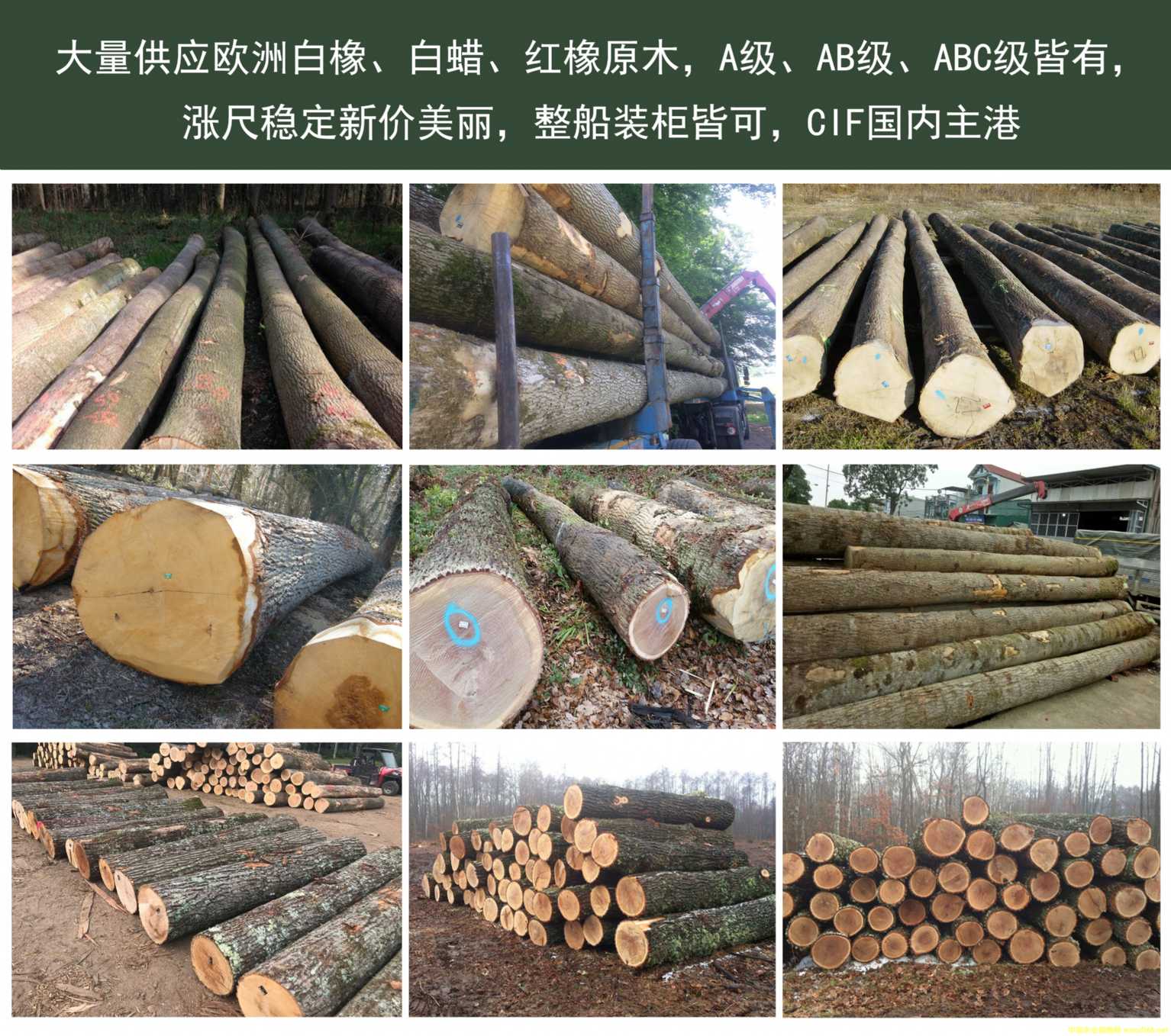 [��] ��������(y��ng)��(gu��)��Ϟ���������t��ԭľ