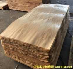 �����M(j��n)����ľľƤо�塢�����ԭľ