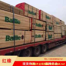 �����t��ľ