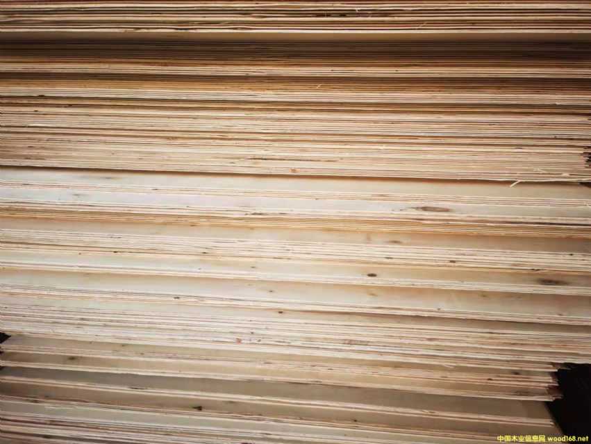 ������ȫ��ߙn�Ҿ߰����B(t��i)��