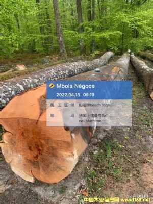 �c(di��n)���鿴�W��ɽë�ηŴ�DƬ