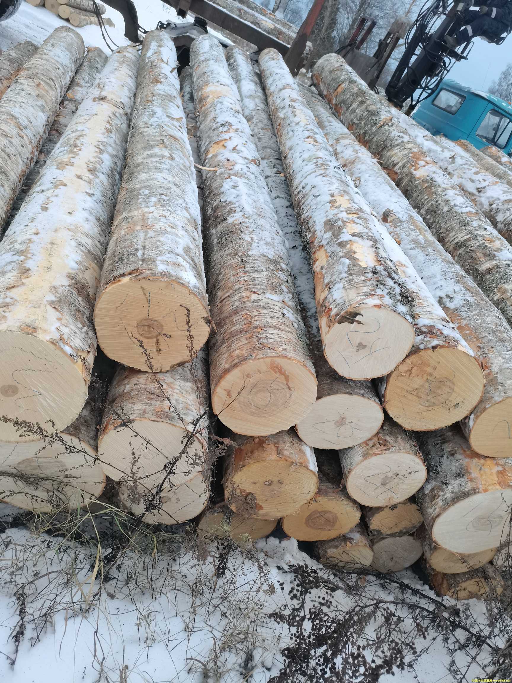 ���_˹��ľ