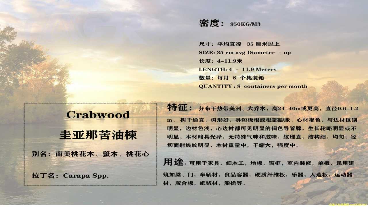 �灆�ǿ����