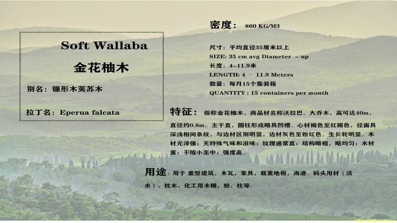 ����ľ��Ԕ����B