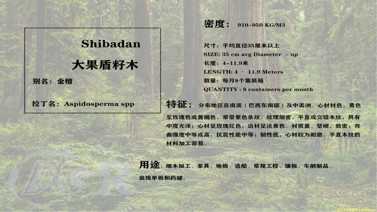 ��̴��Ԕ����B